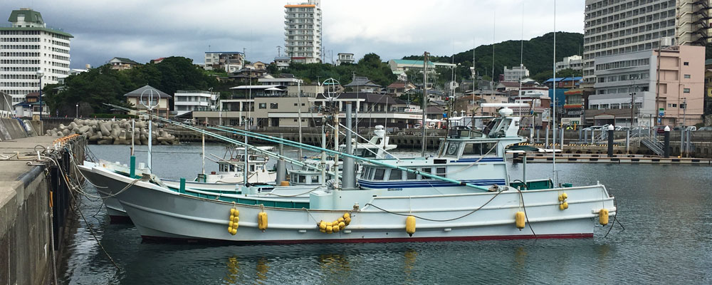 漁師さんの船に乗って 釣り体験