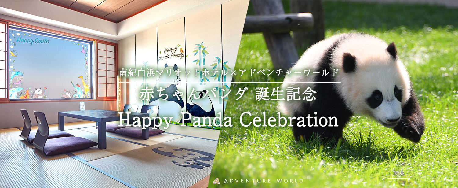 【特集】赤ちゃんパンダ 誕生記念　Happy Panda Celebration