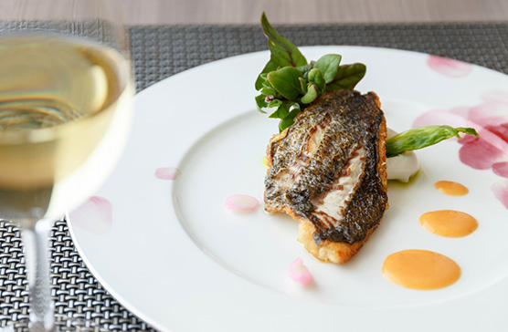 Seasonal Course for Spring -Premium-
