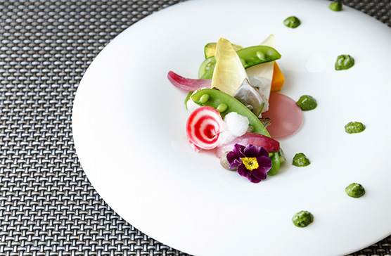 Seasonal Course for Spring -Standard-