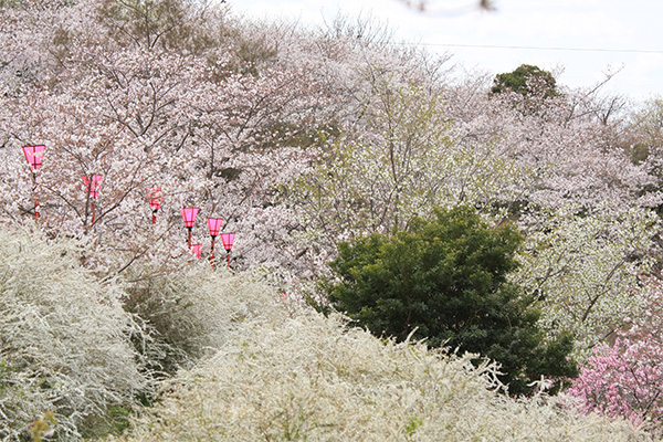 平草原公園