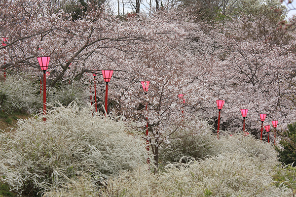 平草原公園