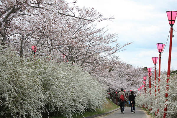 平草原公園