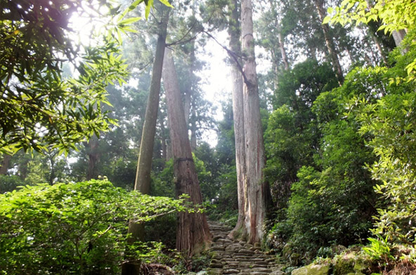 -熊野の眠り-Deep Sleep from KUMANO